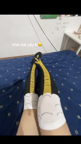 #fyp #trending #xuhuong 