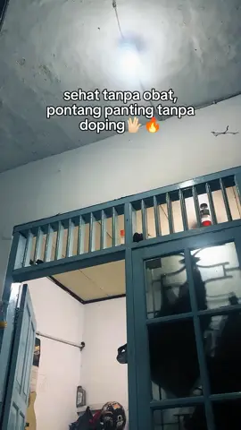 #byankerok_135cc #rxkingindonesia #rxkingjakarta #rxkingbanten #rxking135cc #rxkingnusantara #rxkingjakartaselatan #rxkingjakartaselatan 