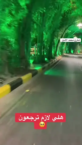 #شارع محمد الامين#كربلاء #العشق#الجمال#الدلال