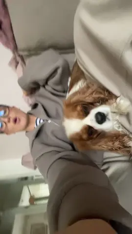 bonne journée 🤣🤣🤣