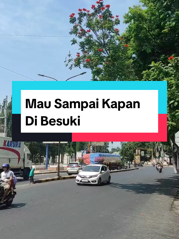 mau sampai kapan? #besuki #besukisitubondo #jawatimur #fyp #4u 
