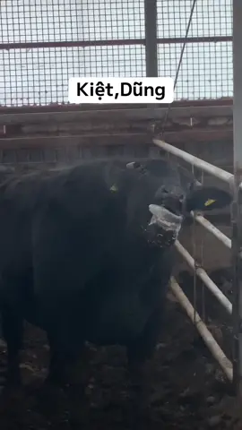 Đôi bạn thân …#toidayne97 #xuhuong 