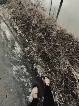 看着日落我又想起了她。的女孩还会记得我吗?