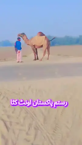 #fyp #viral #سنگت_ویڈیو_وائرل_کریسو_آپ_ہیں🥀🌼🙈✨ #okay_this_is_for_you #