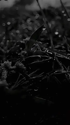 Siklus hidup laki-laki. #siklushidup  #storytime  #fyp  #capcut 