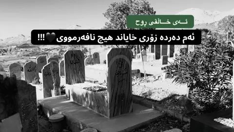 #foryou #fyp #viral #hawler #hawler_slemani_dhok_karkuk_hallabja 