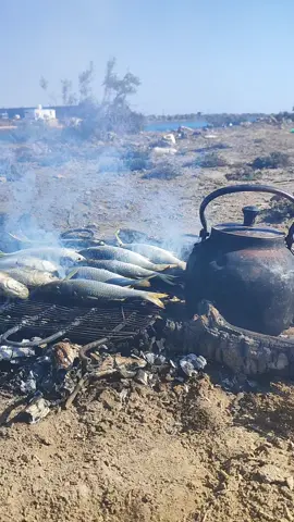 #العراق #شط_العرب #طربيات_الزمن_الجميل #جواد الساعدي ونين #احبكم_يا_احلى_متابعين 