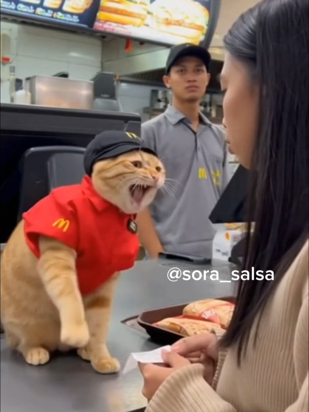 ketika mode marah oyen = AKTIF 🤣🤣🤣 kalau komplain jangan ke Oyen, bisa