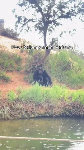 tag member hampa #memberlama #sahabat  #sekepala #sejiwa #fyp 