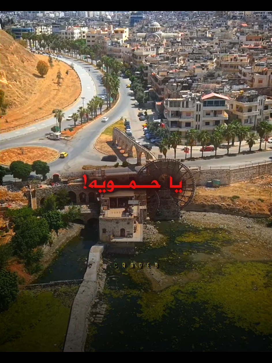 يوم الوفاء 🫶🏻😔#حملة_حماه #حموية #حماه_الوطن #حماه #فداء_حماه 