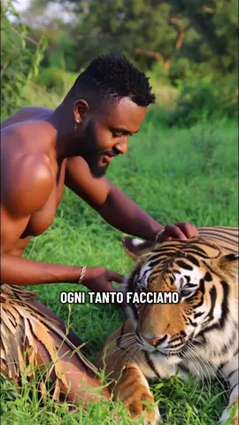 in Africa i nostri pet sono i leoni #perte #neiperte #africa #ironia #sarcasmo