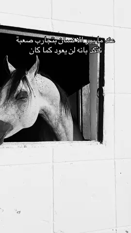 #خيل_وخياله🐎 #viral #fyp #اكسبلورexplore #اقتباسات 