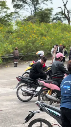 Các bạn có thích gái Touring#y15zr 