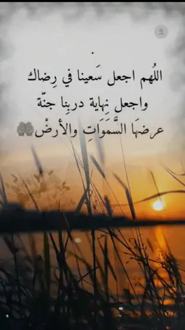 #tiktok #اكسبلورexplore #fyp 