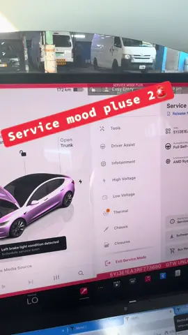 Service mood pluse V 2025.38.8 #teslamodel3 #dubai🇦🇪 #uae🇦🇪 #tesla #elonmusk #fyp #elonmusk 