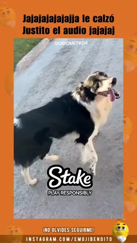 #LIVEFest2025 #LIVEFest2025 #elhombrenoesgente #diciembre 