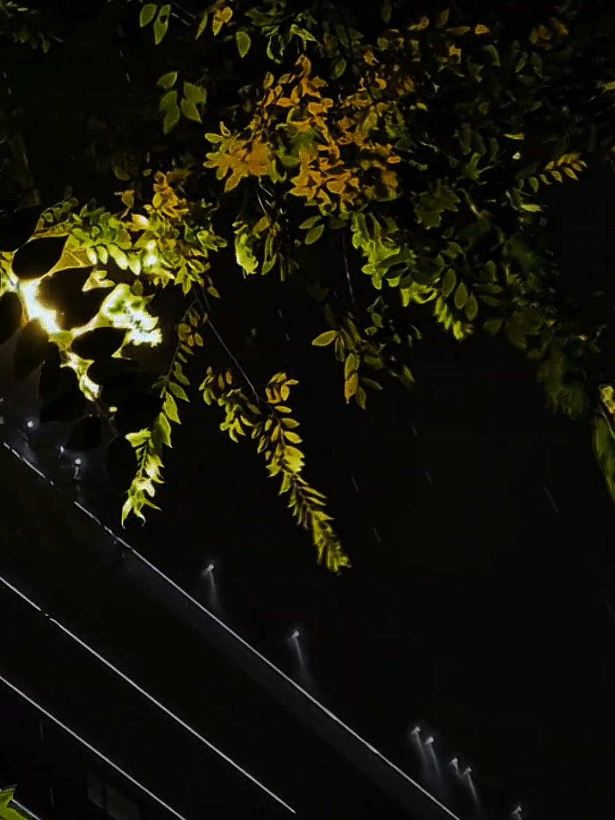 Hôm nay bạn ổn không...? #trambuon12 #nghelasuy12 #tamtrang 