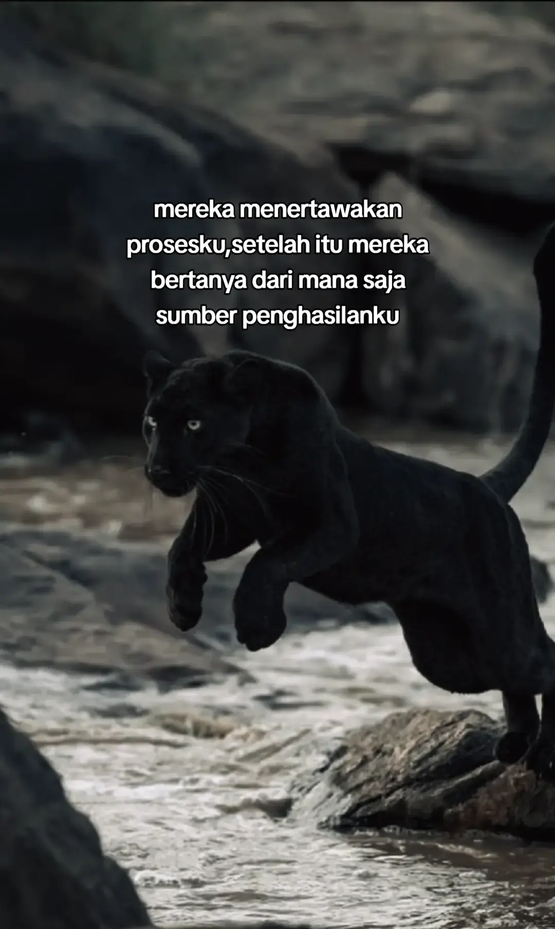 ☺️☺️🌲🌲 #🅰️ #😊 #doaibu #pppppppppppppppp 