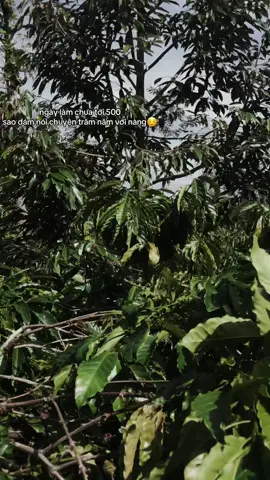 #tamtrang #noibuoncuatoi #xuhuong 