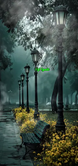 علموا اولادكم ان الرجولة ليست طولا ولا عرضا #خواطر #حكم #اقتباسات #اشرف_عيسى #حالات_واتس 