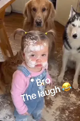 #flypシ #goviral #100k #fyp #pet 