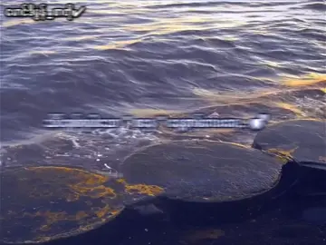 စနေ နေ့နာမ်လေးရေ...🥰 . . . #foryou #စာတို💯 #fyp #viral #foryoupage 