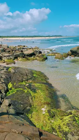 Eu amo a natureza e vcs...🙏👍