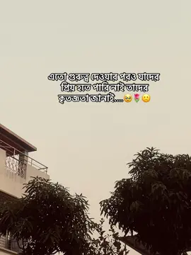 এতো গুরুত্ব দেওয়ার পরও যাদের প্রিয় হতে পারি নাই তাদের কৃতজ্ঞতা জানাই.…🥹🌷🙁#creatorsearchinsights #creatorsearchinsights2025 #foryoupage #viralvideo #trending @TikTok 