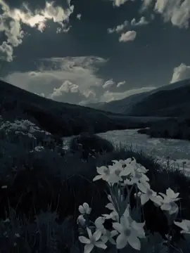 #CapCut #dianastemplate #trending #quotes #fypage 