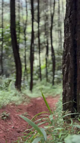 Pemula om 🙌🏻  #bebekmodif #gtxjabar #5tp #kabupatenbandungbarat 