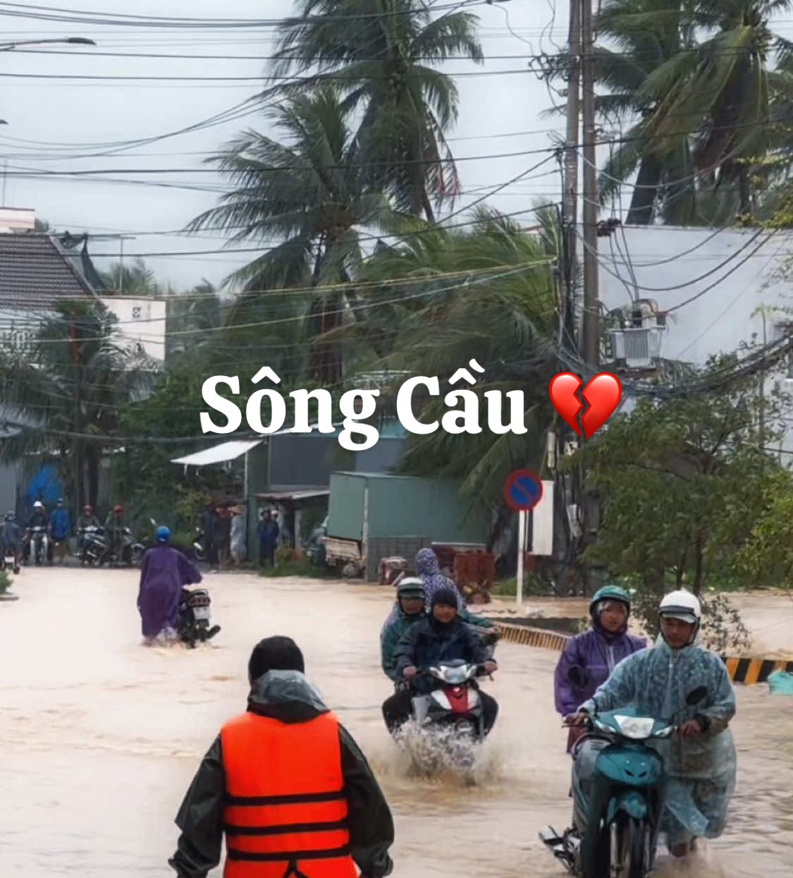 Sông Cầu – 11.2025 một năm tồi tệ #songcau #phuyen 