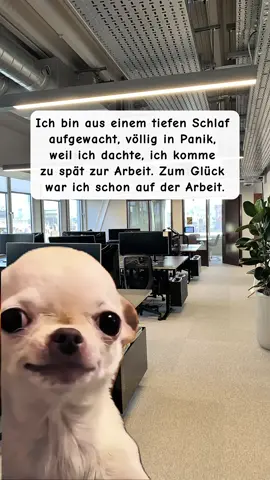 😅 #relatable #arbeit #schlafen #panik 