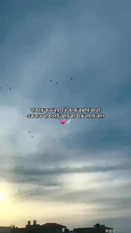 💗🕊️         #viral_video #viral_video_tiktok #foryou #foryoupage #foryoupageofficiall 