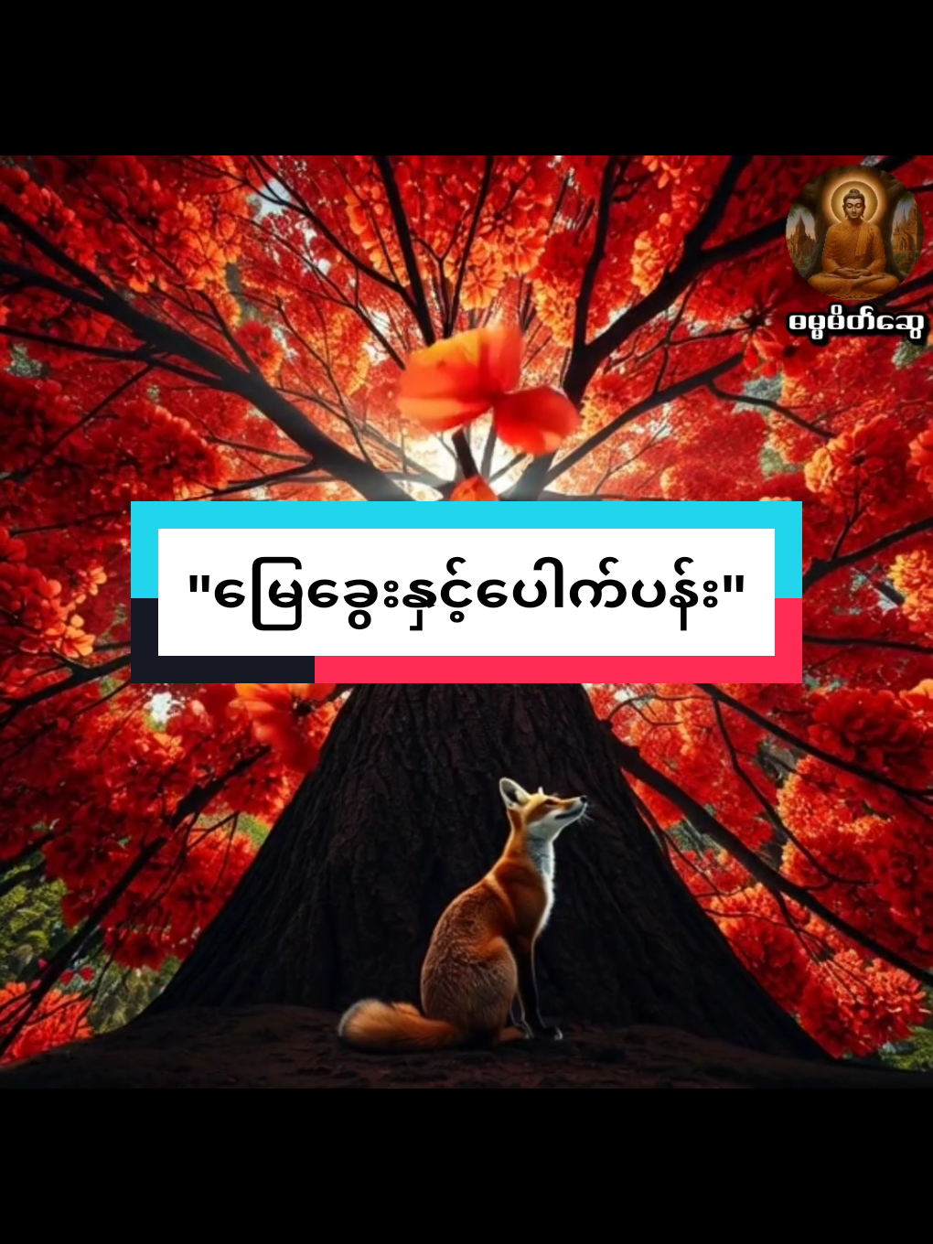 #ပဲခူးဆရာတော်အရှင်တေဇောသာရ🙏 #တရားတော်များ #ဓမ္မမှတ်စု #fypppppppppppppp #creatorsearchinsights 