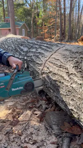 RATE MY CUT! Let me know in the comments how I did!  #construction #homerenovation #realestate #entrepreneur #carpentry    