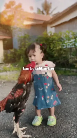 #rip Beristirahatlah dengan tenang di rumah baru mu kawan, terima kasih sudah temanin Aina selama ini🥀🥀#hobbyayambangkok #ayambangkoksuper #ayambangkokclasik #fyp 