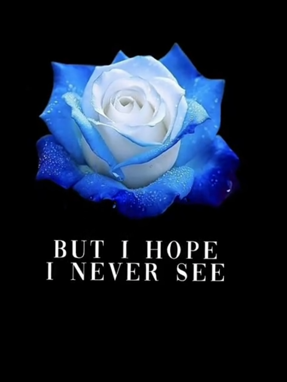 Closer.  #lyrics #fyp #foryoupage 