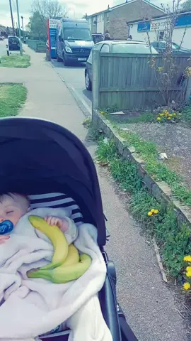 Forgot I took my dog to the shop. 🤣😅 Oops, sorry, Anna. 😘  #woops  #dog #shop #annadog #$hop #anna 