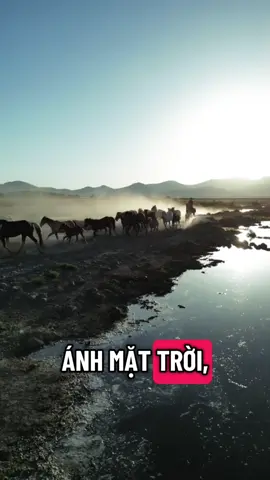 #donglucmoingay💪 #truyencamhung 