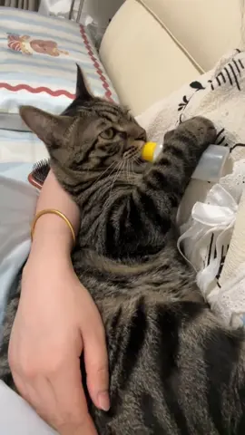 Lạnh có gái ôm cái cụ ngoan ngay #mèo #tiktok #viral #xuhuong #folow 