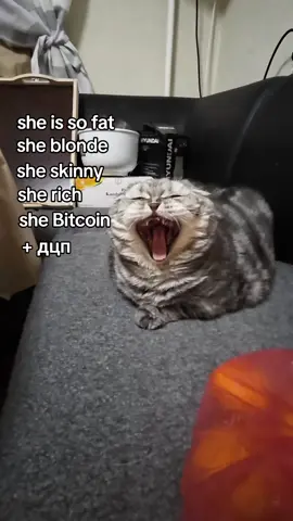 че с обложкой#fypシ #рекомендации #on #fyp #fypage #буся 
