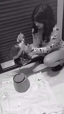 #اغاني_مسرعه💥 #🥷 #fyp 