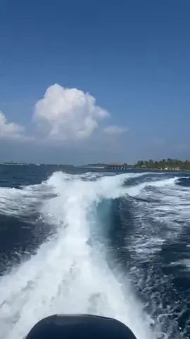 #creatorsearchinsights #foryou #tiktok #fyp #viral 