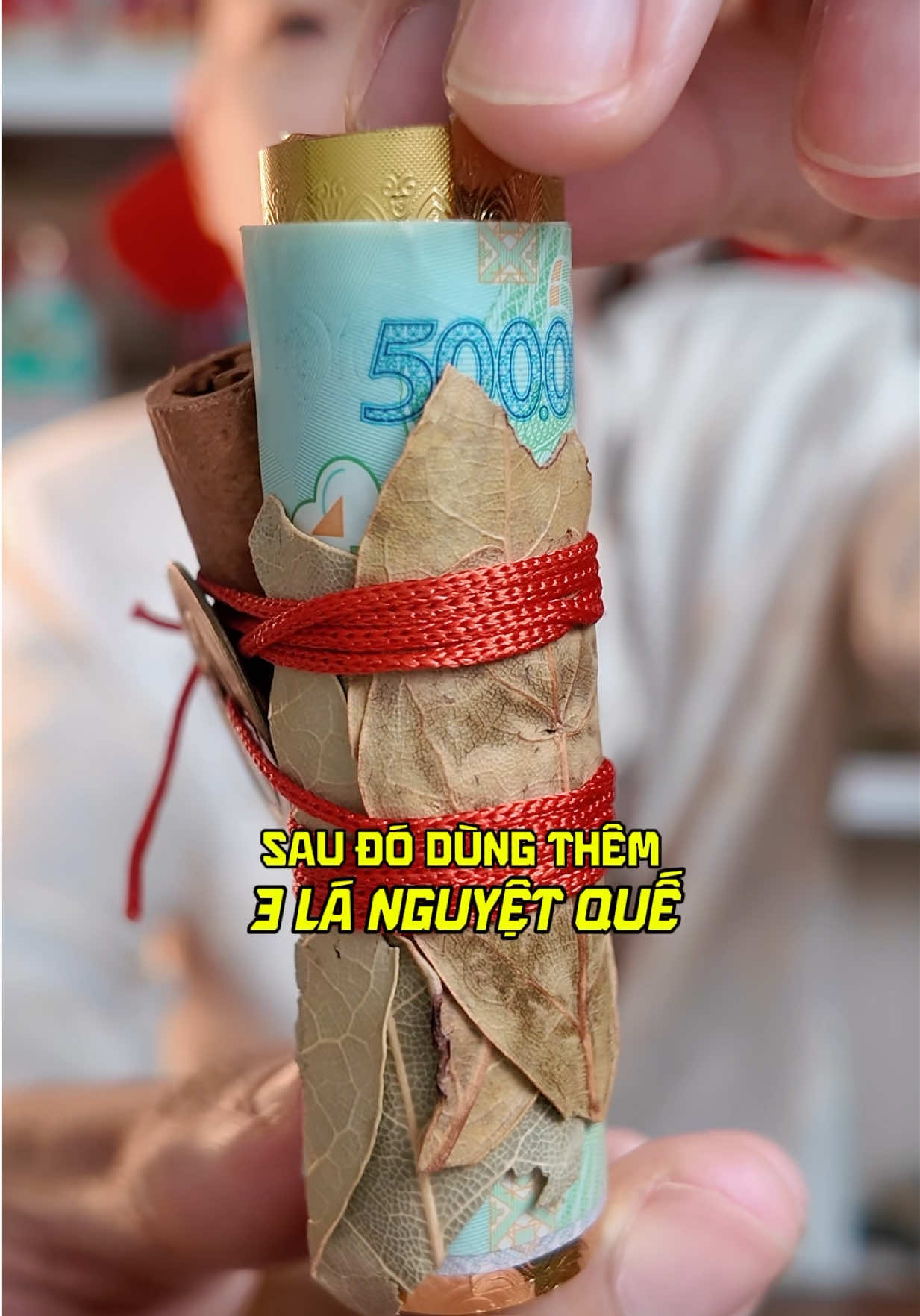 Mẹo nuôi tiền cái bằng lá nguyệt quế #meonuoitiencai #nuoitiencai #languyetque #bonguloc6mon #phongthuy 