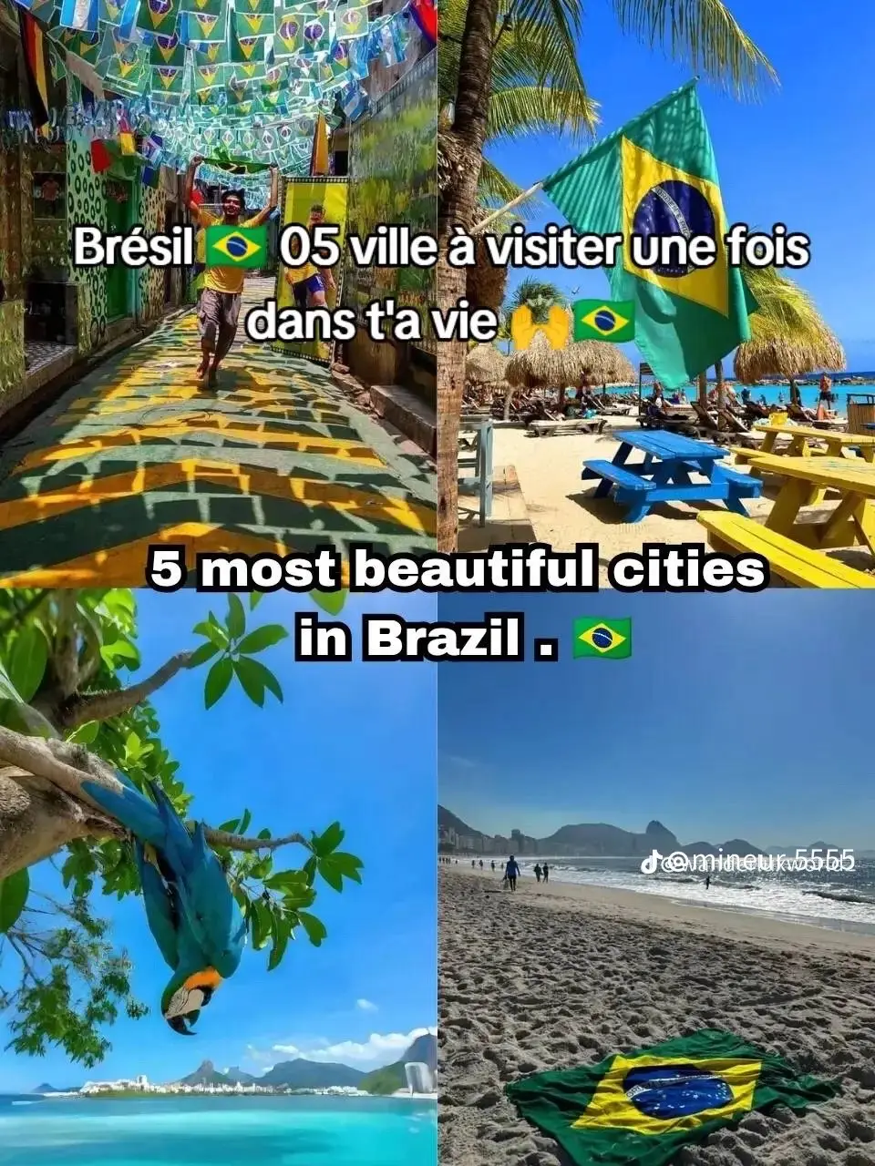 LAIKI🇧🇷🍀