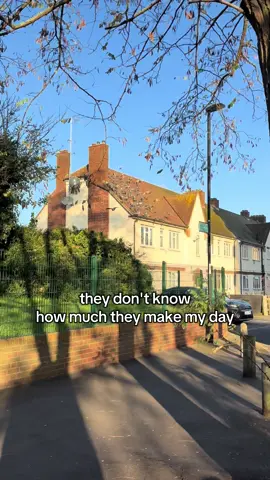 my precious flock! when i first started feeding them maybe a year ago now.. i was eager to have them trust me and fly to my hands during breakfast and lunch. we're not at that stage since they can be skittish.. but one of them landed on my head during this video😭❤️ pigeons are such intelligent animals. even when i change jackets, have my hood up, they still recognise me :) they had their breakfast after their greeting. they are beautiful birds that can teach so much to humans. #pigeon #fyp #pigeonsoftiktok #pigeons #foryoupage❤️❤️ 
