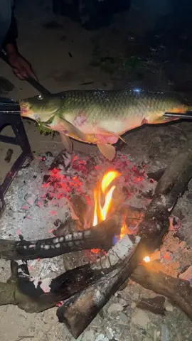 Những người không nghiện câu cá làm sao biết được cái cảm giác thời tiết lạnh giá lại móm giật mà ngồi bên đống lửa cùng đồng nghiện , nướng trui con cá trên than hồng nhấp vài ngụm rượu đế chém gió về chiến tích những con cá kể trong quá khứ nó như thế nào ?