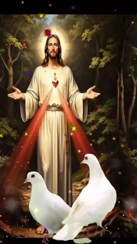 #😇🕊🙏🕊😇 