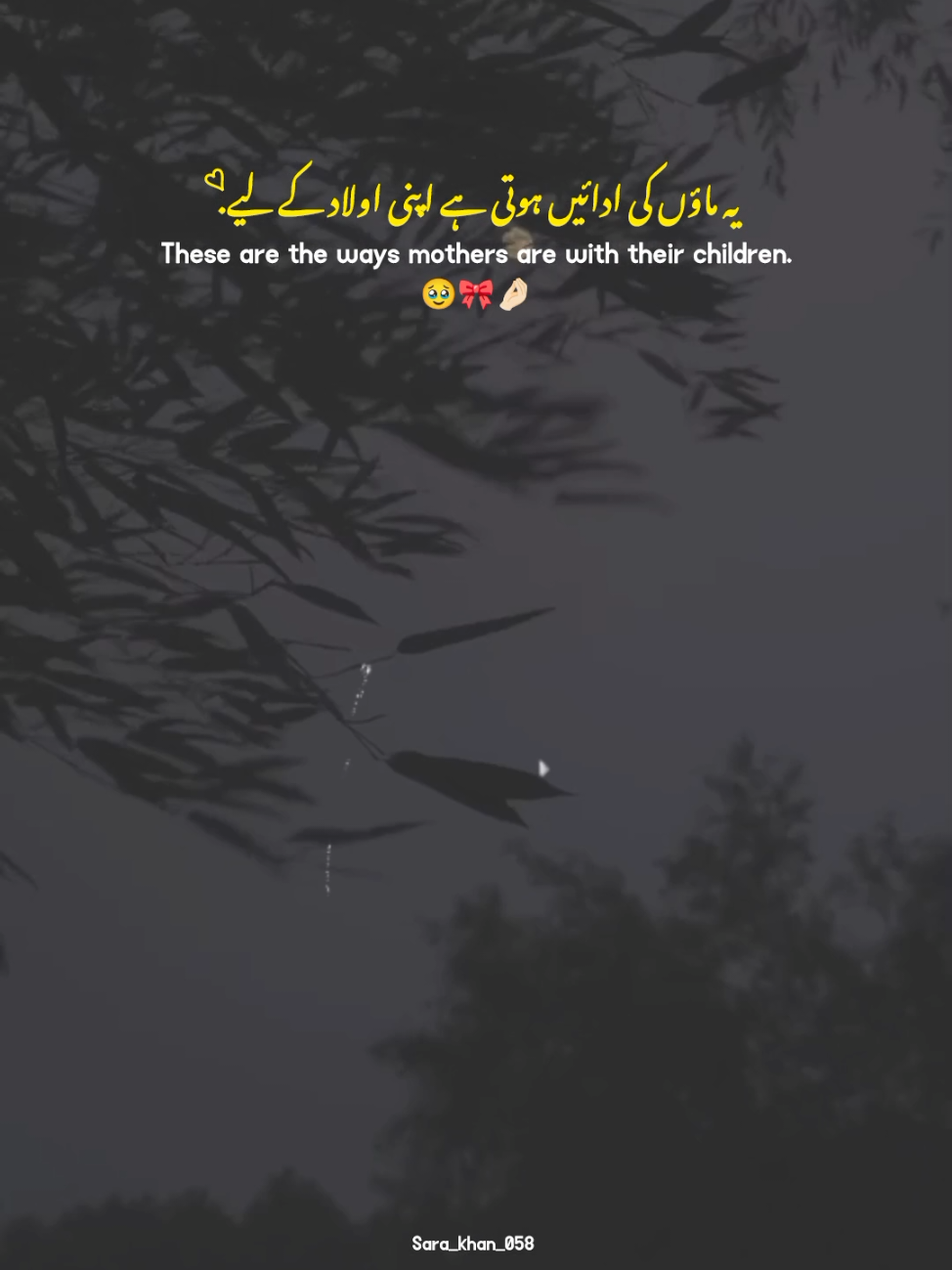 Maa🥹🤌🏻❤️ | | Mother 🌸🌷 | | love you maa💓✨ | | Mother Love Status video 🌸❤️ #maa #mother #Love #statusvideo #foryoupage @TikTok @tiktok creators @TikTok Pakistan 