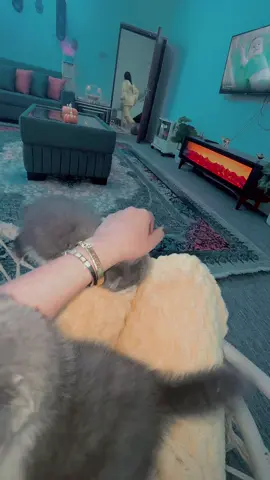 #الشعب_الصيني_ماله_حل😂😂 